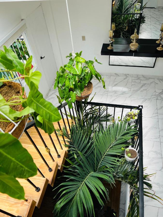 Le Marie B&B Cartagena Exterior foto